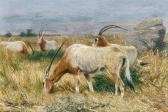 FRIESE Richard Bernhard L. 1854-1918,Antelopes,1893,Van Ham DE 2023-11-17