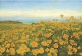 FRIMODT Johanne N. Louise 1861-1920,A field of buttercups by the coast,1902,Christie's GB 2004-11-18