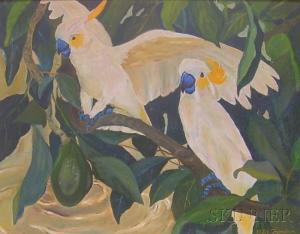 FROMSHON Etfie,Two Cockatoos in an Avocado Tree,Skinner US 2009-11-18