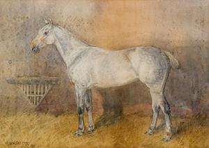 FRY Douglas R 1872-1911,A dappled grey horse in a stable,1895,Bonhams GB 2010-12-02