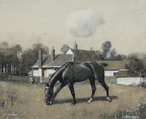 FRY Douglas R 1872-1911,Horse grazing in a field before a cottage,1905,Bonhams GB 2009-12-03