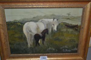 FRYER G,view of a Dartmoor mare and her foal,Lawrences of Bletchingley GB 2016-10-18