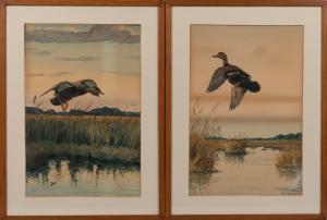 FUERTES Louis Agassiz 1874-1927,Five Depictions of Shore Birds and Ducks,1909,Skinner US 2022-09-21