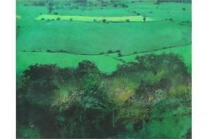 FULFORD David,Fulford : The Yorkshire Dale,David Duggleby Limited GB 2015-09-14