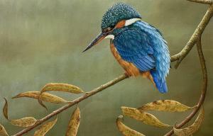 FULLER Robert E 1972,Kingfisher on a Branch,David Duggleby Limited GB 2024-04-04