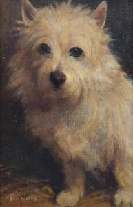 FULTON Samuel 1855-1941,Portrait of a terrier,Peter Wilson GB 2022-10-20