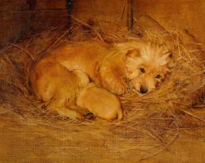 FULTON Samuel 1855-1941,Two Norfolk terriers,Sotheby's GB 2021-12-16