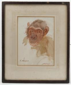 Furniss Marian Elizabeth,portrait of a monkey,Serrell Philip GB 2017-07-06