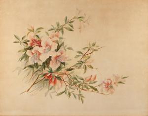 GABRIELLE,Bouquet d'aubépines,1900,Ruellan FR 2021-06-12
