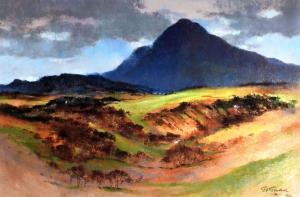 GADD GERALD V 1900-1900,Snowdonia mountain,Rogers Jones & Co GB 2017-02-18