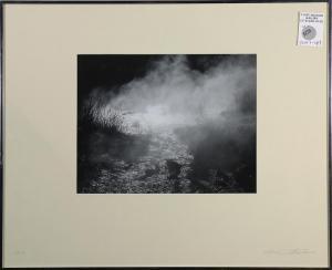 GAGLIANI Oliver Lewis 1917-2002,Foggy Swamp,1962,Clars Auction Gallery US 2018-06-16