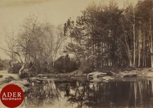 GAILLARD Paul 1832-1890,Forêt de Fontainebleau,1850,Ader FR 2018-06-21