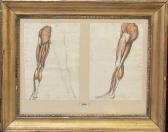 GAILLOT Bernard 1780-1847,Ecorché, études de jambes,Beaussant-Lefèvre FR 2023-02-08