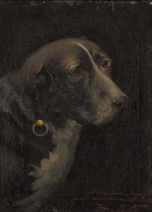 galante,Ritratto di cane,1909,Meeting Art IT 2009-02-28