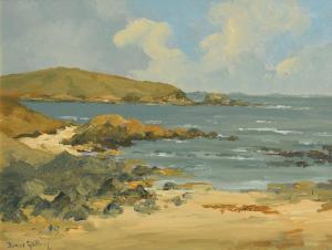 GALLERY Denis 1900-1900,Clifden Coastline,Morgan O'Driscoll IE 2018-12-10