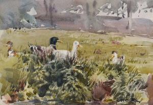GALLOWAY Everett 1900-1900,MALLARDS BY THE RIVER,Ross's Auctioneers and values IE 2021-07-21