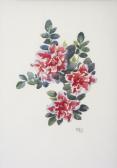 GANLY Rose Brigid 1909-2002,A pair of Floral Studies: Fushia and Wild Rose,Adams IE 2005-12-13