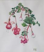GANLY Rose Brigid 1909-2002,FUSCHIA,De Veres Art Auctions IE 2023-03-28