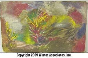 GANS Joe,semi-abstract landscape featuring flowing lines,Winter Associates US 2009-04-06