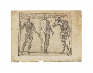 GARCIA EL HIDALGO Don Jose 1646-1717,Studies of Three Skeletons, from Principios para ,1693,Bonhams 2023-11-01