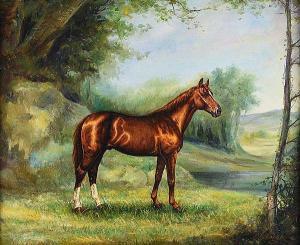 GARCIA Francis,STUDY OF A HORSE,Ross's Auctioneers and values IE 2019-10-09