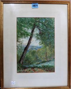 GARDNER William Biscombe 1847-1919,Wooded scene,Bellmans Fine Art Auctioneers GB 2020-08-11