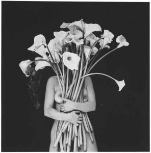 GARDUNO Flor 1957,Embrace of light,2000,Christie's GB 2015-11-16
