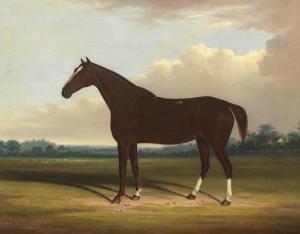 GARLAND William 1857-1882,A bay horse,1854,Bonhams GB 2018-10-24