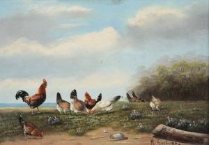 GARLINGS H,Haan en kippen bij de kust.,Bernaerts BE 2011-10-17