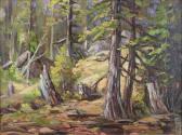 GARNER Alec John 1897-1995,woodland sunlight,Maynards CA 2019-05-03