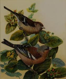 GARNETT ORME ELIZABETH,Finches' perched upon branches of flowering berrie,2005,Morphets 2017-03-02