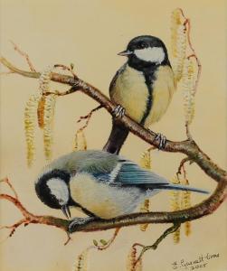 GARNETT ORME ELIZABETH,Great Tits' perched on a pussy-willow branch,2005,Morphets GB 2017-03-02