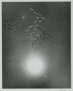 GARNETT William A.,Snow Geese with Reflection of the Sun Over Buena V,1953,Weschler's 2023-09-22