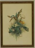 GARRATT J.H 1800-1900,Irises.,Eldred's US 2014-06-07