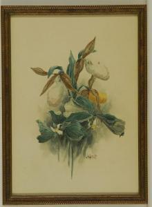 GARRATT J.H 1800-1900,Irises.,Eldred's US 2014-06-07