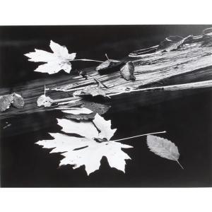 GARROD RICHARD 1924,Leaves and Log,1987,Ripley Auctions US 2019-10-19