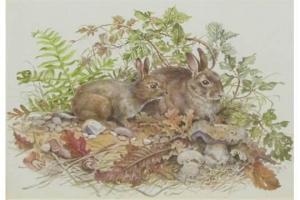 GAST John 1842-1800,Rabbits,Keys GB 2015-11-27