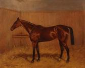 GATEHOUSE Charles E. 1866-1952,Chestnut Hunter in a Loose Box,1904,David Lay GB 2015-01-15