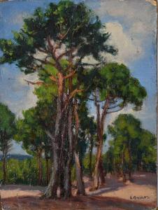GAULET Henry 1863-1936,Les pins maritimes; Massif des Aravis; La solitude,Conan-Auclair 2024-02-20