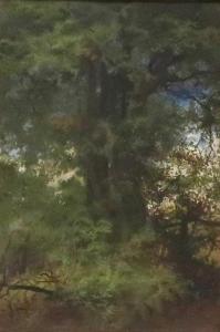 GAVIN Robert 1827-1883,Tree study,Great Western GB 2023-08-23
