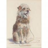 GEAR Mabel 1900-1997,STUDY OF A TERRIER,Sotheby's GB 2003-03-26