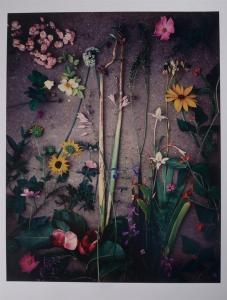 GEIGER Michael 1944,Floral Still Life,Stair Galleries US 2013-02-02