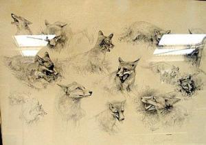 GELDART William 1936,sstudy of foxes,Fieldings Auctioneers Limited GB 2009-05-16