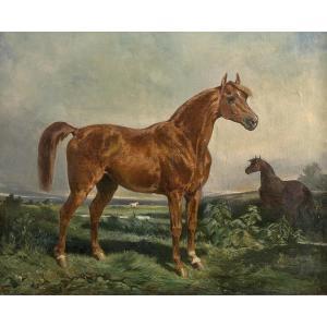 GENGEMBRE Joseph Zephyris 1818-1870,Horse in a field,Tajan FR 2017-10-27