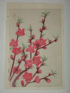GENKO,branches de cerisier en fleurs,1950,Neret-Minet FR 2010-10-23