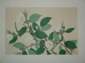 GENKO,une branche de magnolia,Neret-Minet FR 2009-04-09