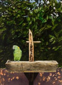 GENTLING STUART 1946,Parrot on a Birdfeeder,Heritage US 2009-07-15