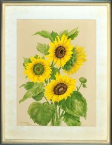 GENTZSCH TOLCKE E 1900-1900,Sonnenblumen,Allgauer DE 2016-01-15
