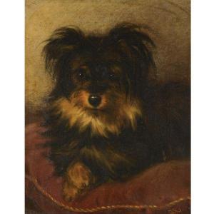 GEORGE Earl 1824-1908,A YORKSHIRE TERRIER ON A CUSHION,Sotheby's GB 2010-07-13