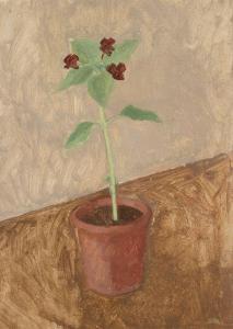 GEORGE Patrick 1923-2016,Plant in a pot,Rosebery's GB 2020-11-04